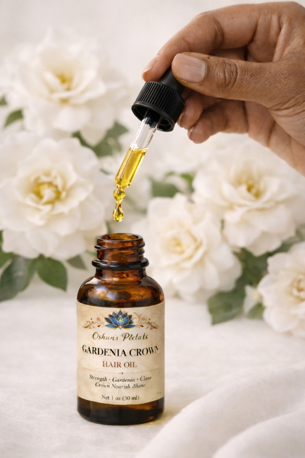 Floral Bloom Collection